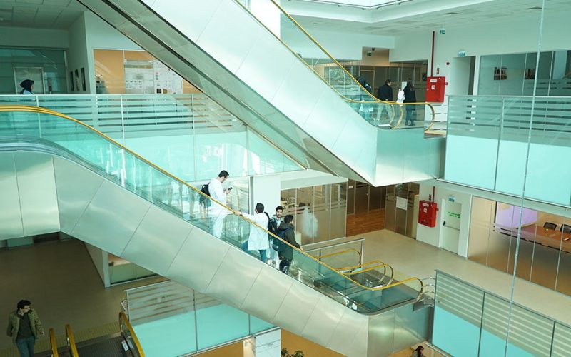 التن باش.jpg7