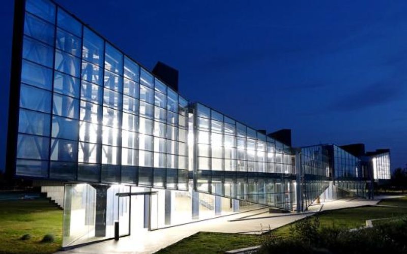 جامعة قبرص الدولية