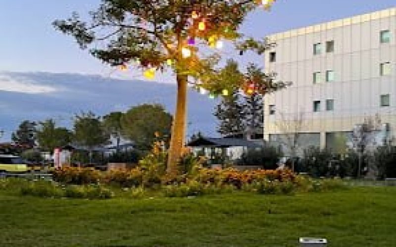 قبرص للعلوم الصحية6